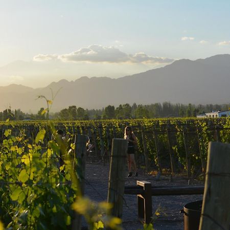 Viamonte Winery Lodge Чакрас-де-Корія Екстер'єр фото