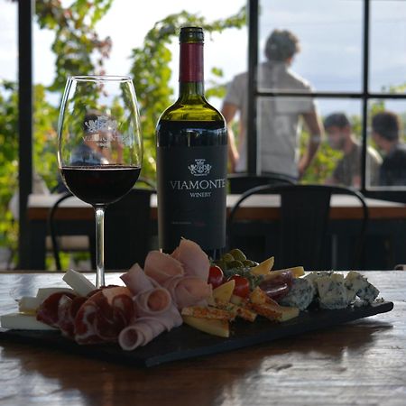 Viamonte Winery Lodge Чакрас-де-Корія Екстер'єр фото