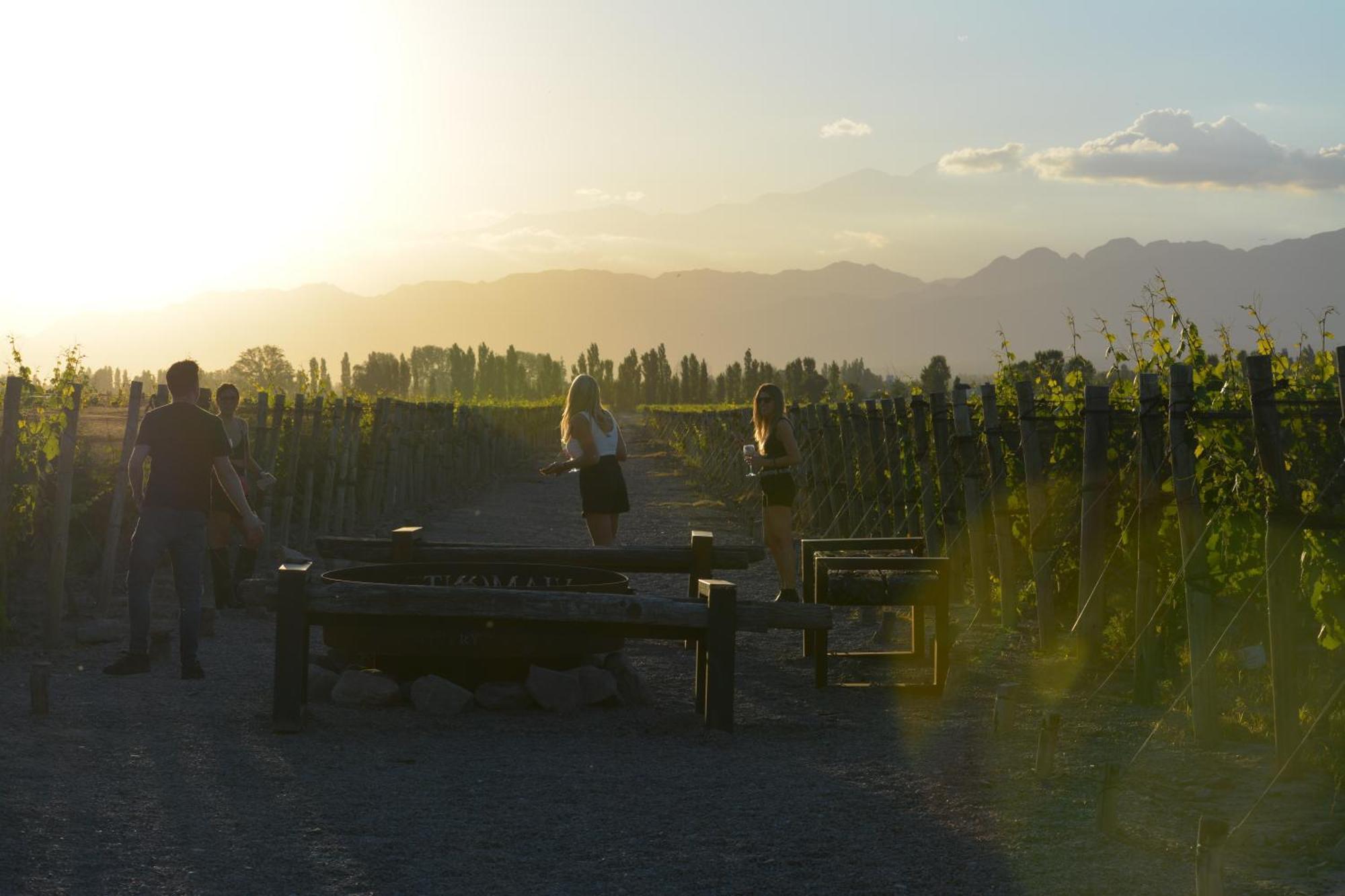 Viamonte Winery Lodge Чакрас-де-Корія Екстер'єр фото