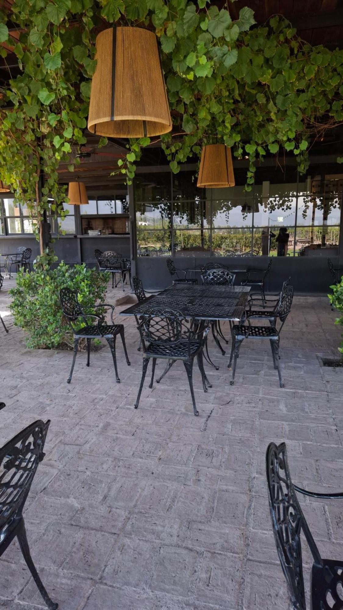 Viamonte Winery Lodge Чакрас-де-Корія Екстер'єр фото