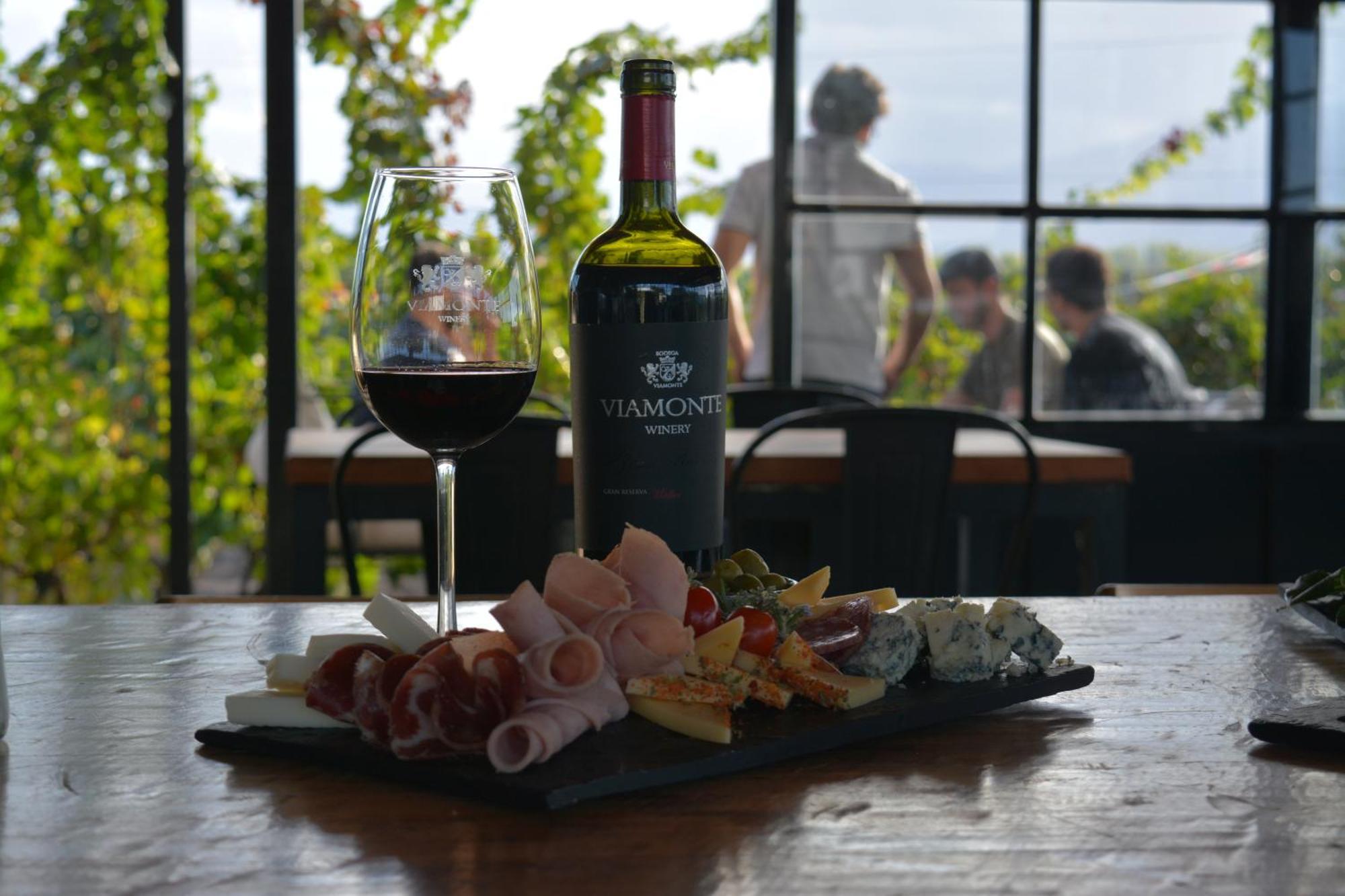 Viamonte Winery Lodge Чакрас-де-Корія Екстер'єр фото