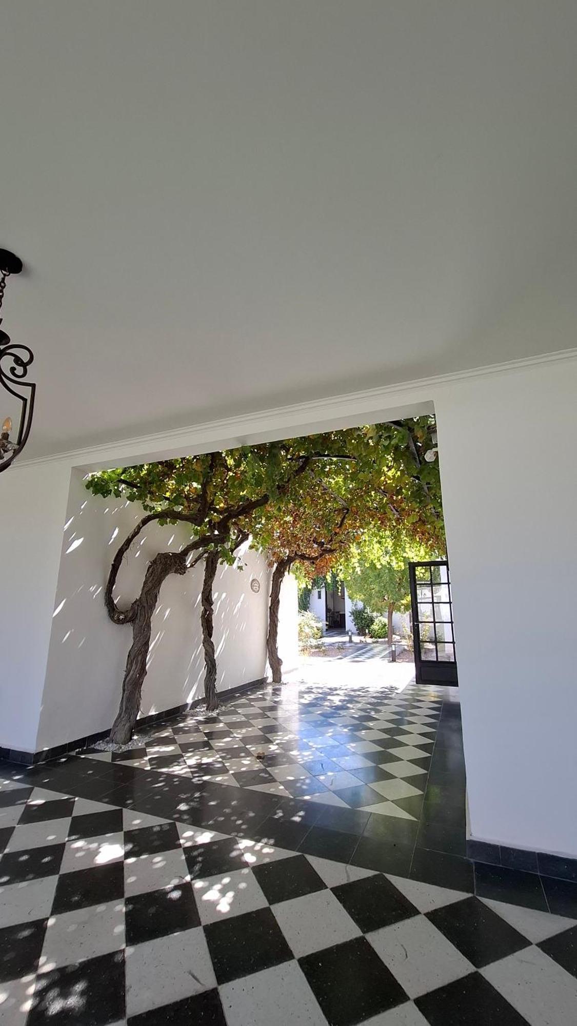 Viamonte Winery Lodge Чакрас-де-Корія Екстер'єр фото